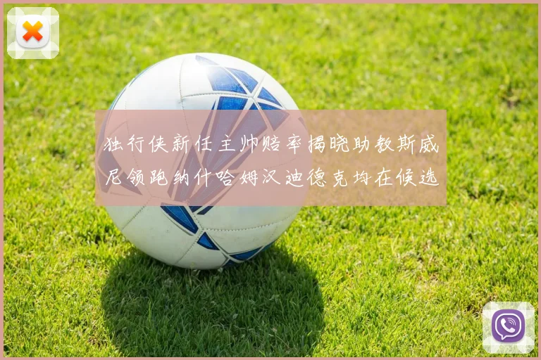 独行侠新任主帅赔率揭晓助教斯威尼领跑纳什哈姆汉迪德克均在候选之中